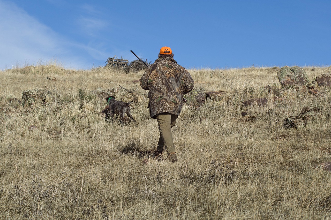 hunting dog and hunter scene for low-light group visibility planning